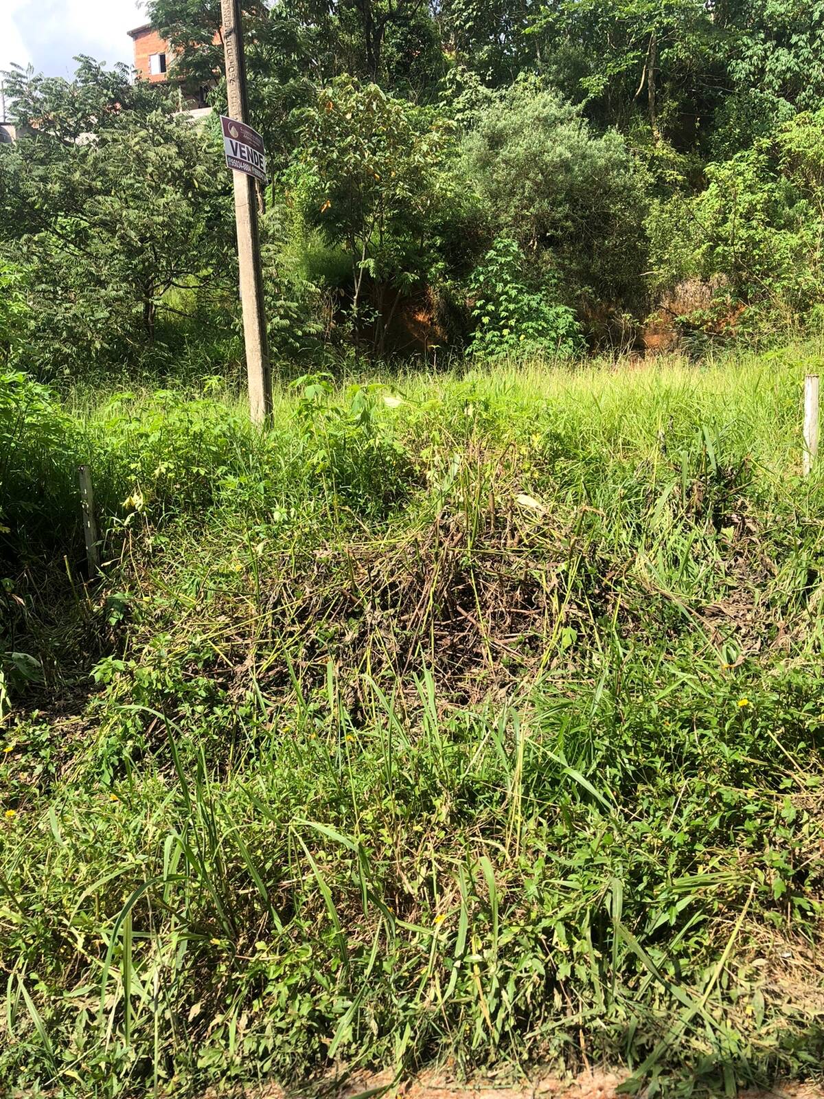 Terreno, 125 m² - Foto 4