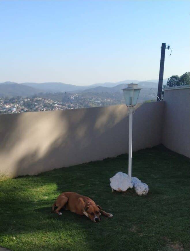 Casa, 3 quartos, 370 m² - Foto 20