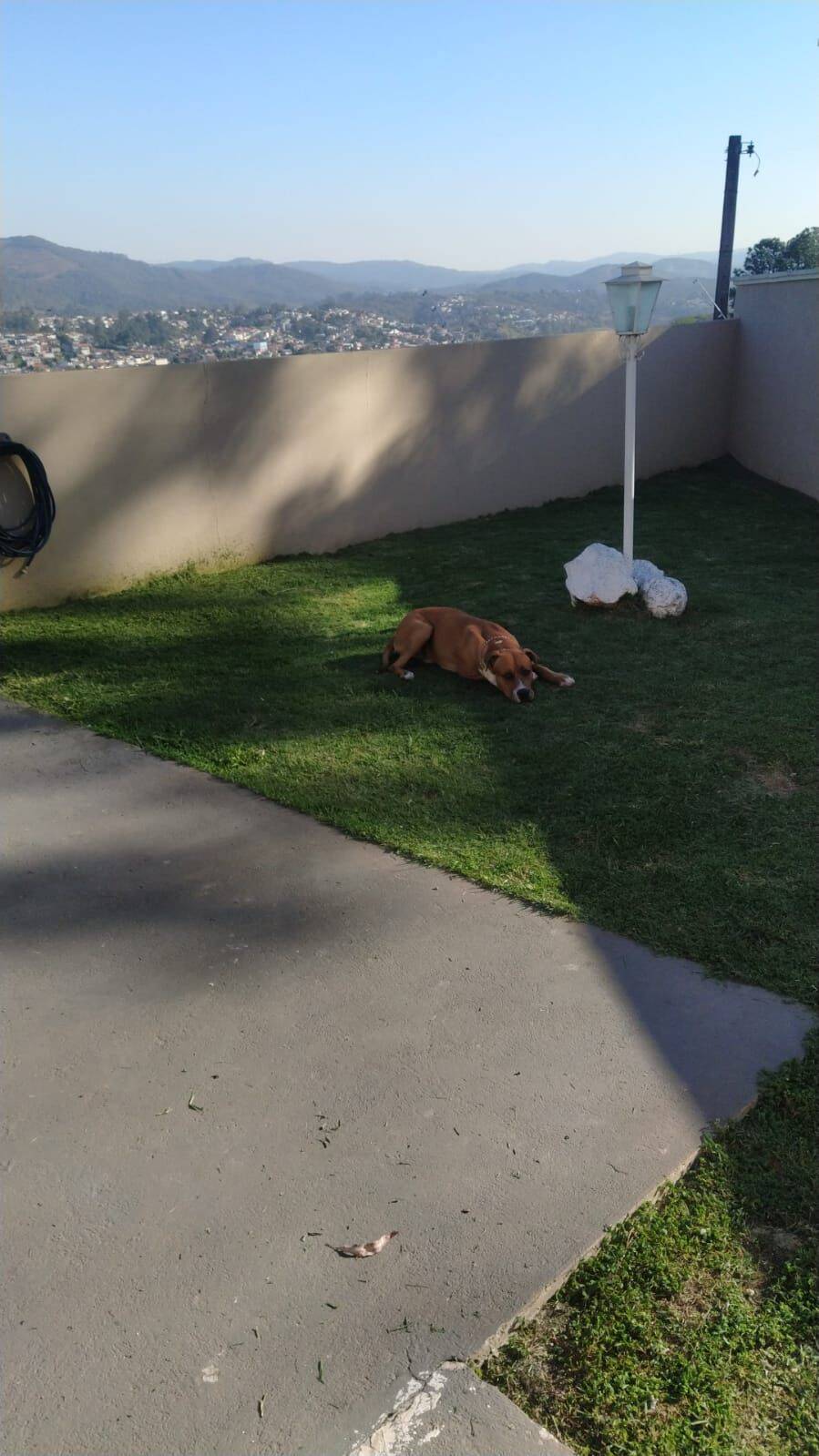 Casa, 3 quartos, 370 m² - Foto 27