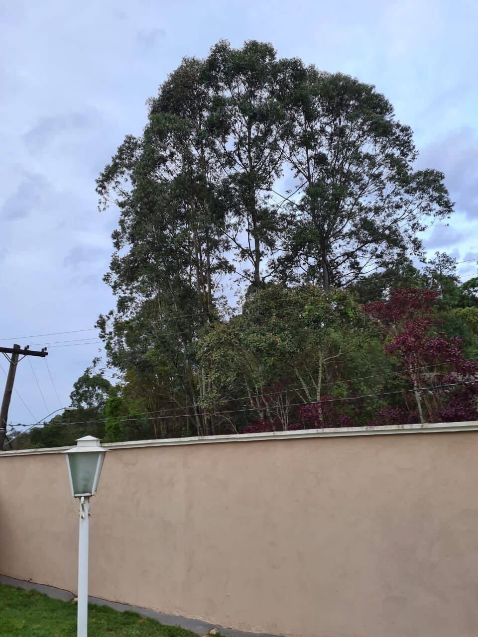 Casa, 3 quartos, 370 m² - Foto 33