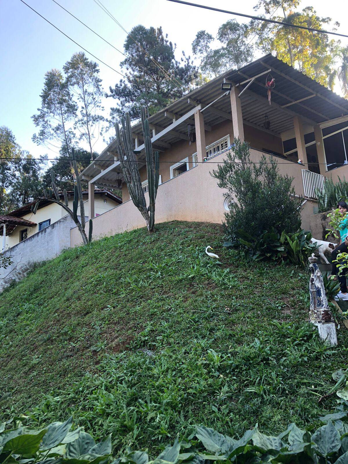 Chácara à venda com 2 quartos - Foto 3