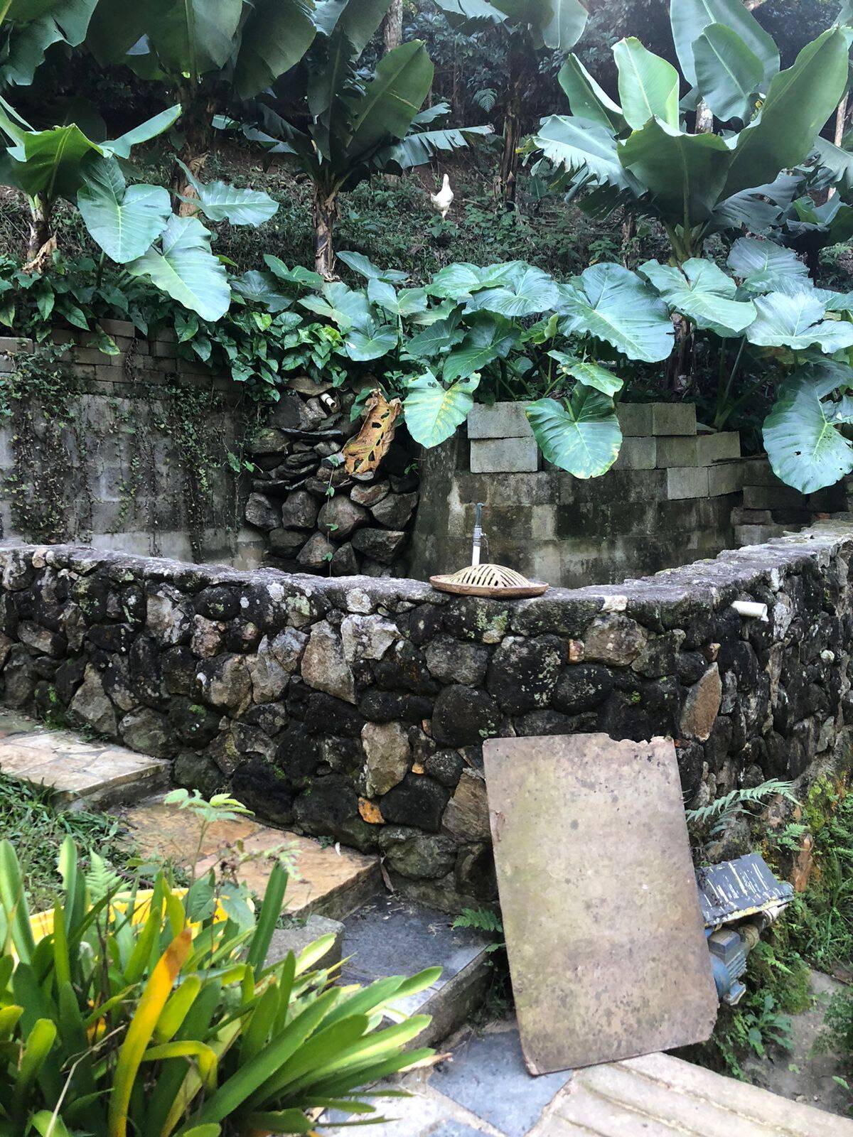 Chácara à venda com 2 quartos - Foto 10