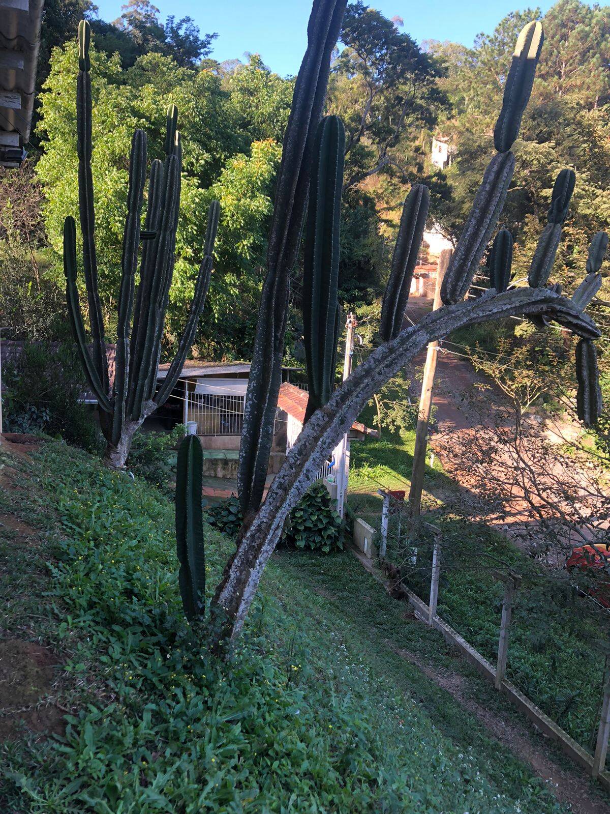 Chácara à venda com 2 quartos - Foto 30