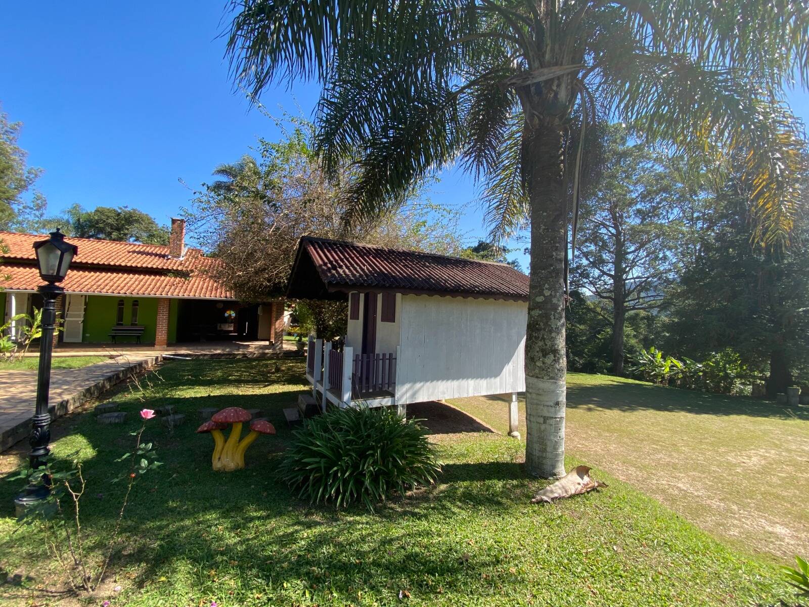 Sítio à venda com 4 quartos, 48m² - Foto 12