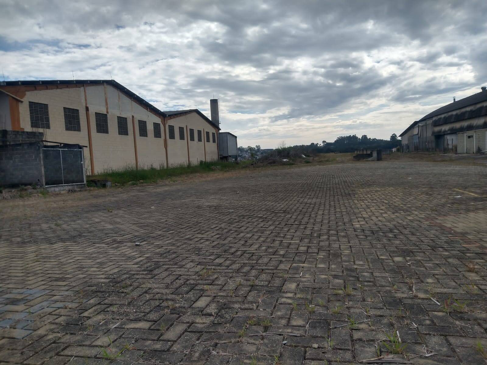 Terreno, 3000 m² - Foto 5