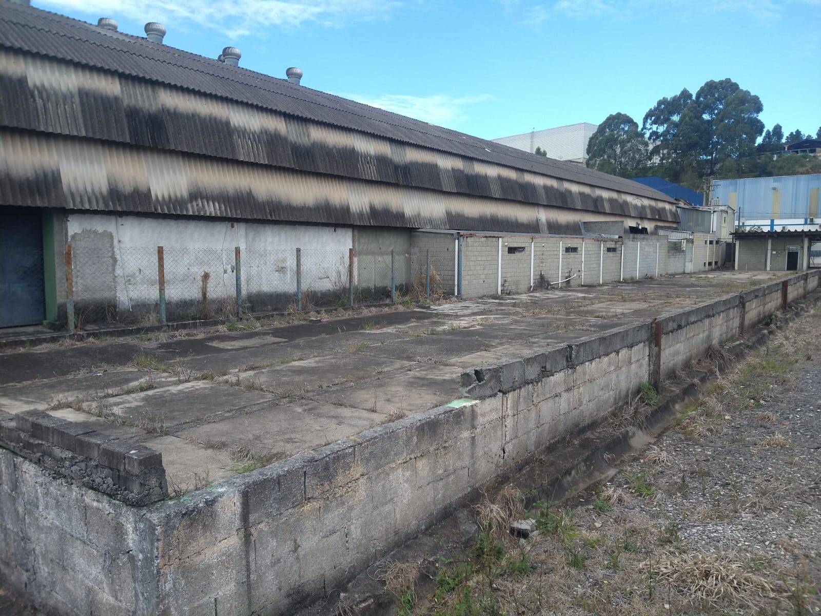 Terreno, 3000 m² - Foto 7