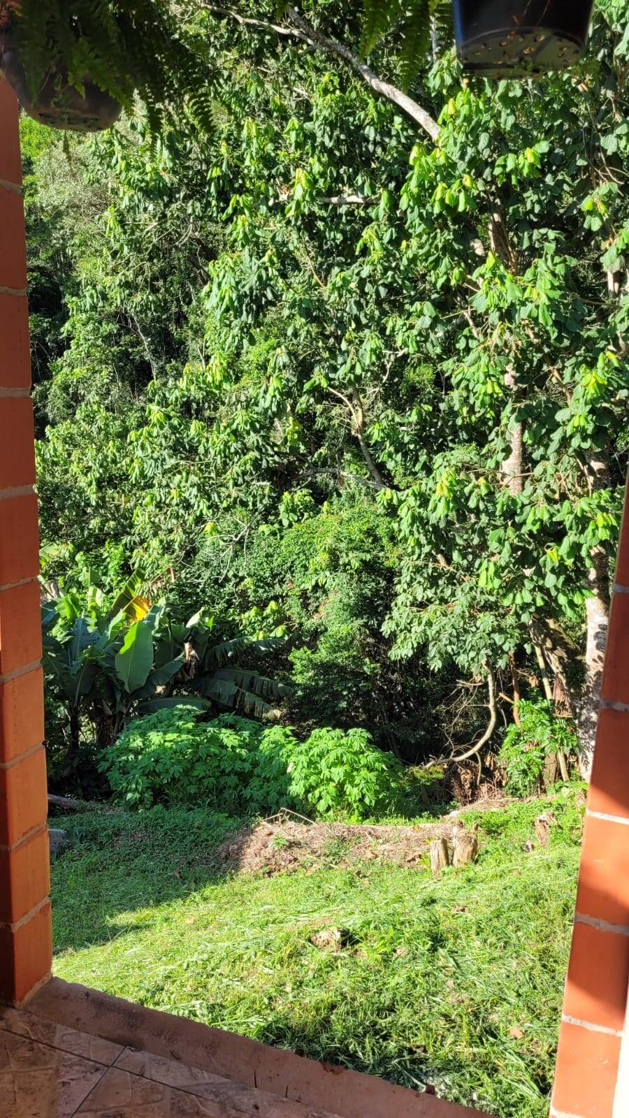 Casa, 2 quartos - Foto 12