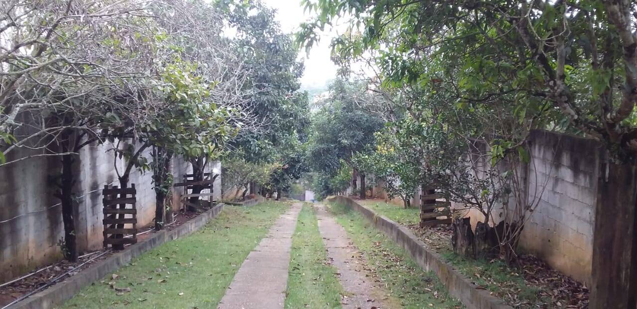 Chácara à venda com 5 quartos, 3300m² - Foto 7