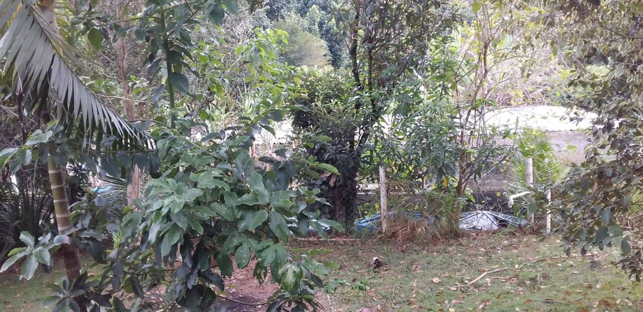Chácara à venda com 5 quartos, 3300m² - Foto 18