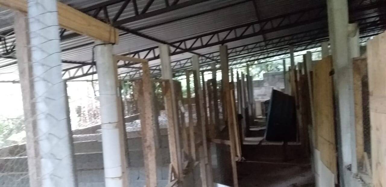 Chácara à venda com 5 quartos, 3300m² - Foto 20