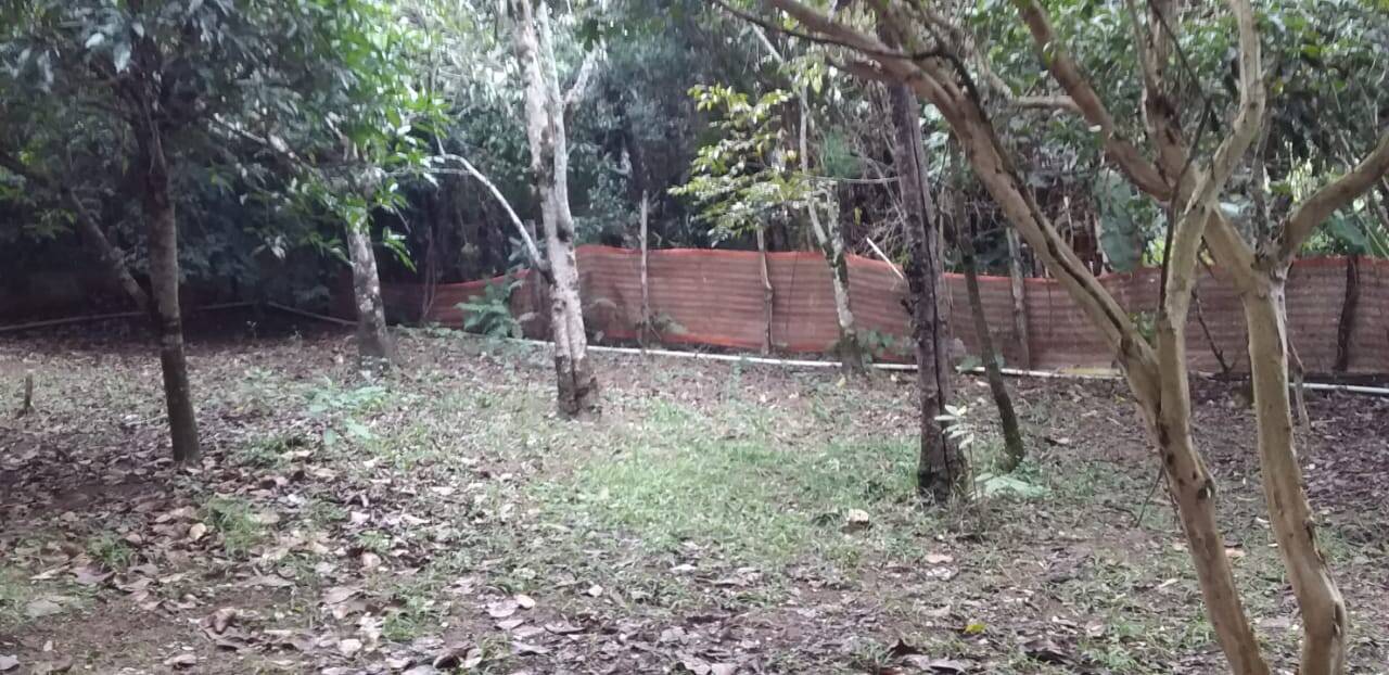 Chácara à venda com 5 quartos, 3300m² - Foto 29
