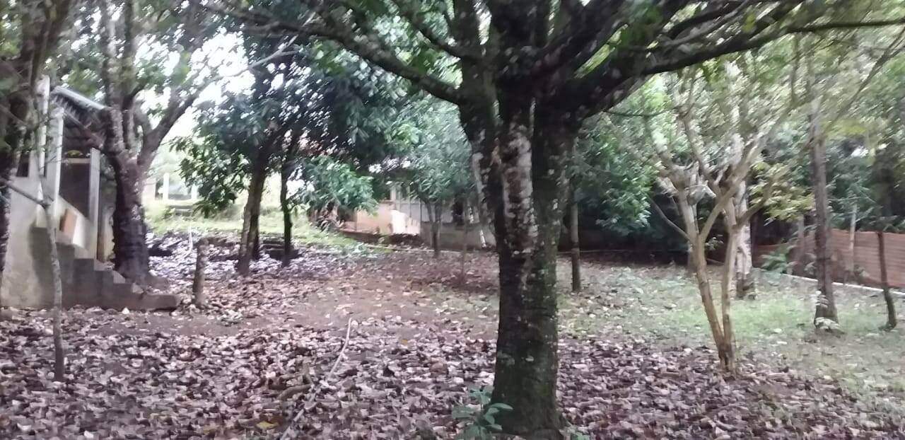 Chácara à venda com 5 quartos, 3300m² - Foto 28