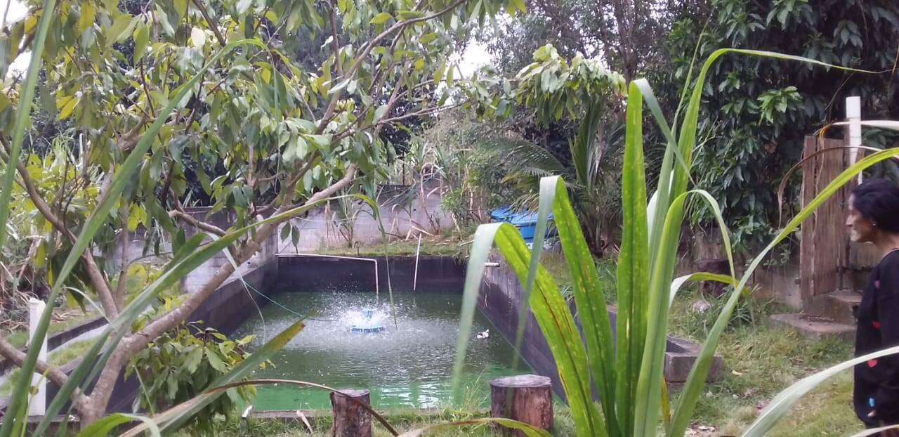 Chácara à venda com 5 quartos, 3300m² - Foto 27