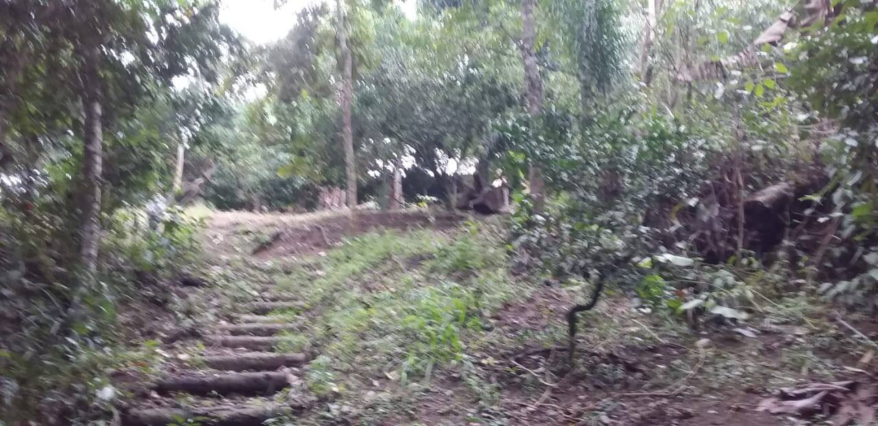 Chácara à venda com 5 quartos, 3300m² - Foto 31
