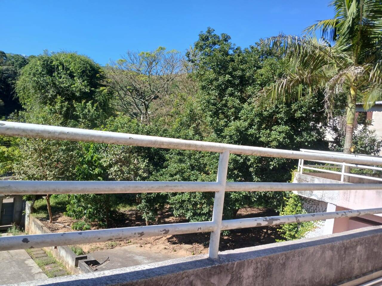 Chácara à venda com 4 quartos, 1000m² - Foto 3