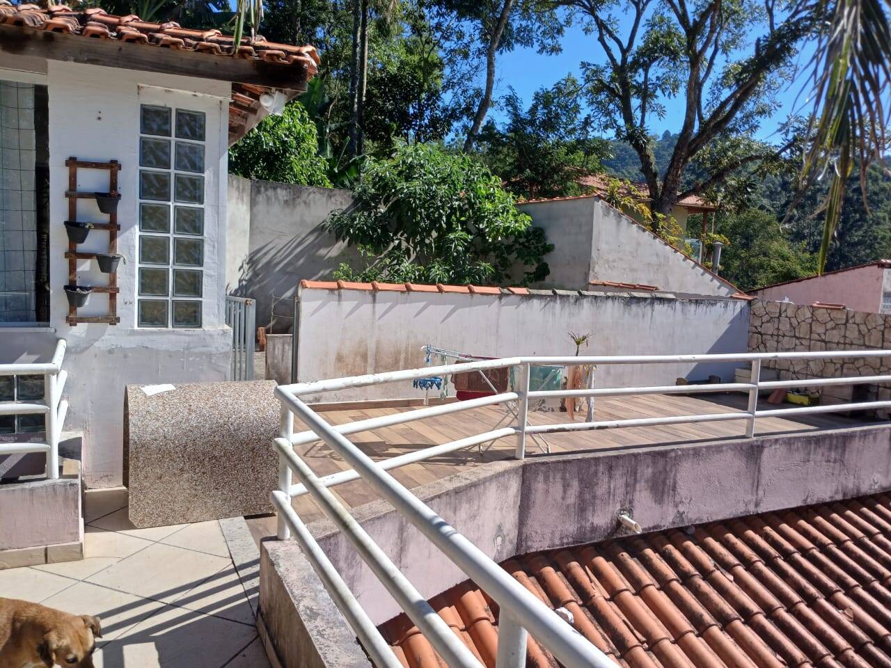 Chácara à venda com 4 quartos, 1000m² - Foto 7