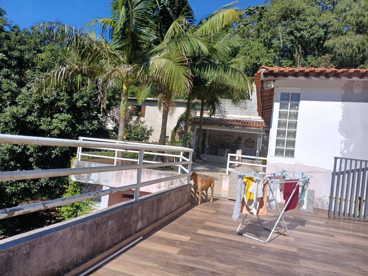 Chácara à venda com 4 quartos, 1000m² - Foto 10