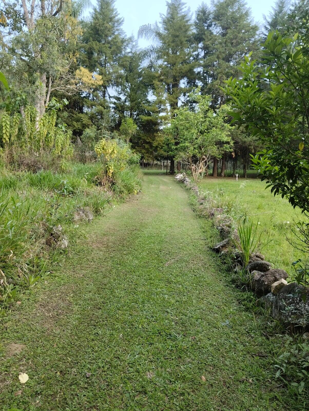 Sítio à venda com 5 quartos, 2m² - Foto 9