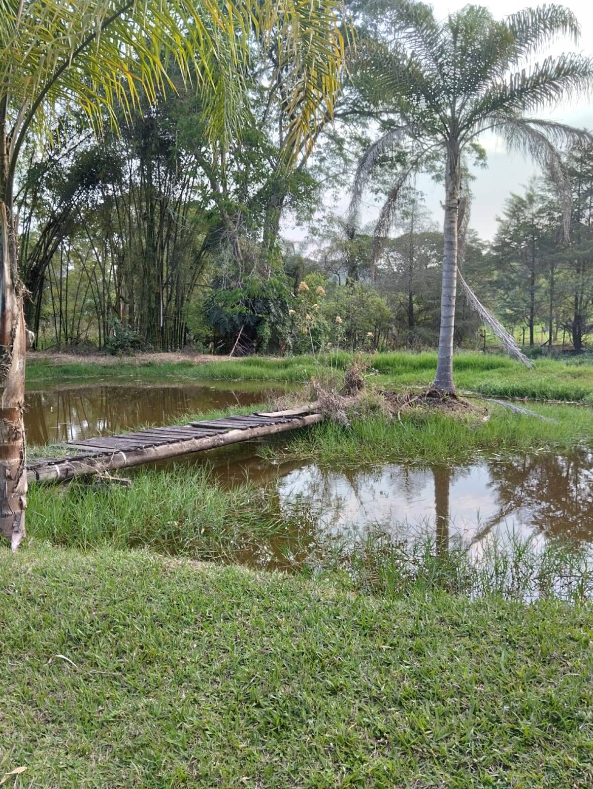 Sítio à venda com 5 quartos, 2m² - Foto 13