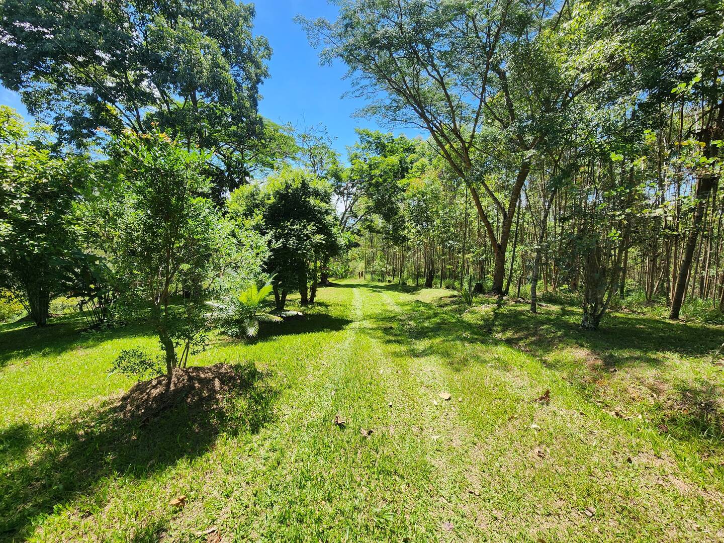 Chácara à venda com 3 quartos, 49m² - Foto 6