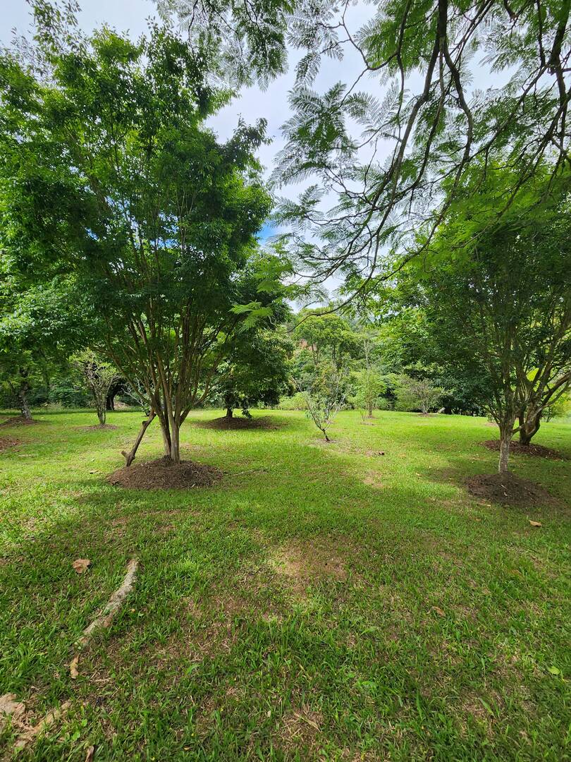 Chácara à venda com 3 quartos, 49m² - Foto 7