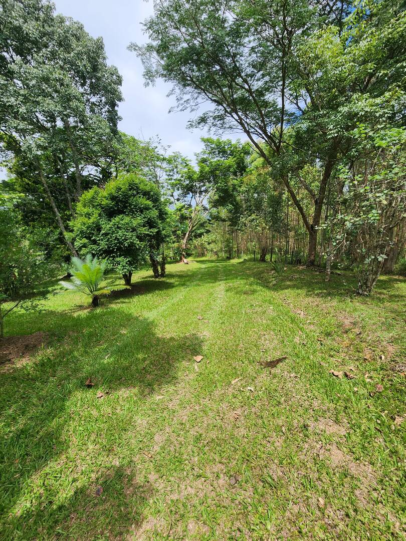 Chácara à venda com 3 quartos, 49m² - Foto 8