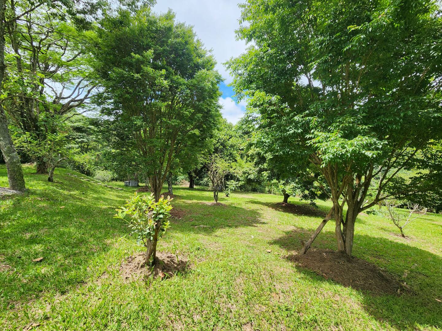 Chácara à venda com 3 quartos, 49m² - Foto 9