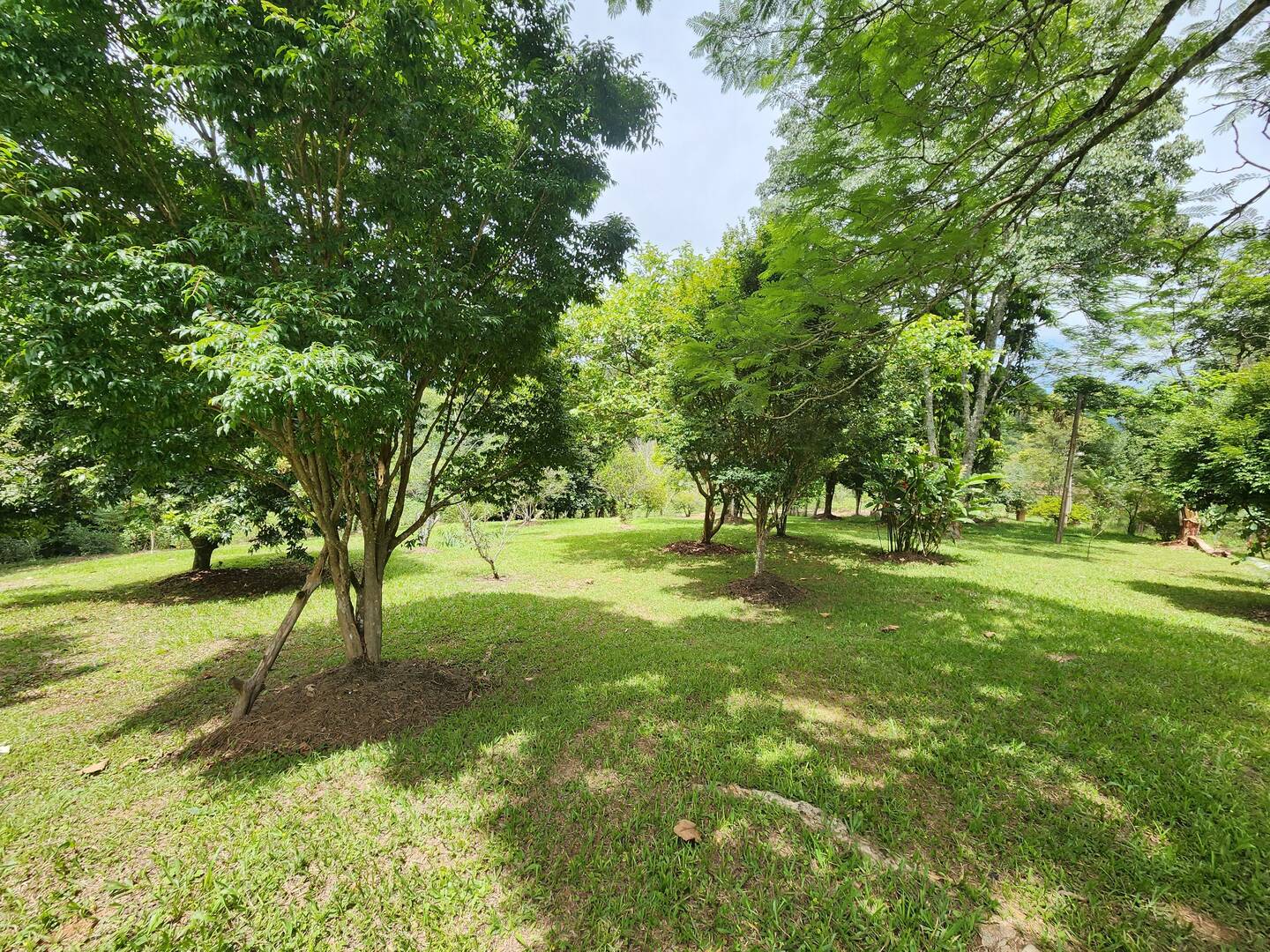 Chácara à venda com 3 quartos, 49m² - Foto 10