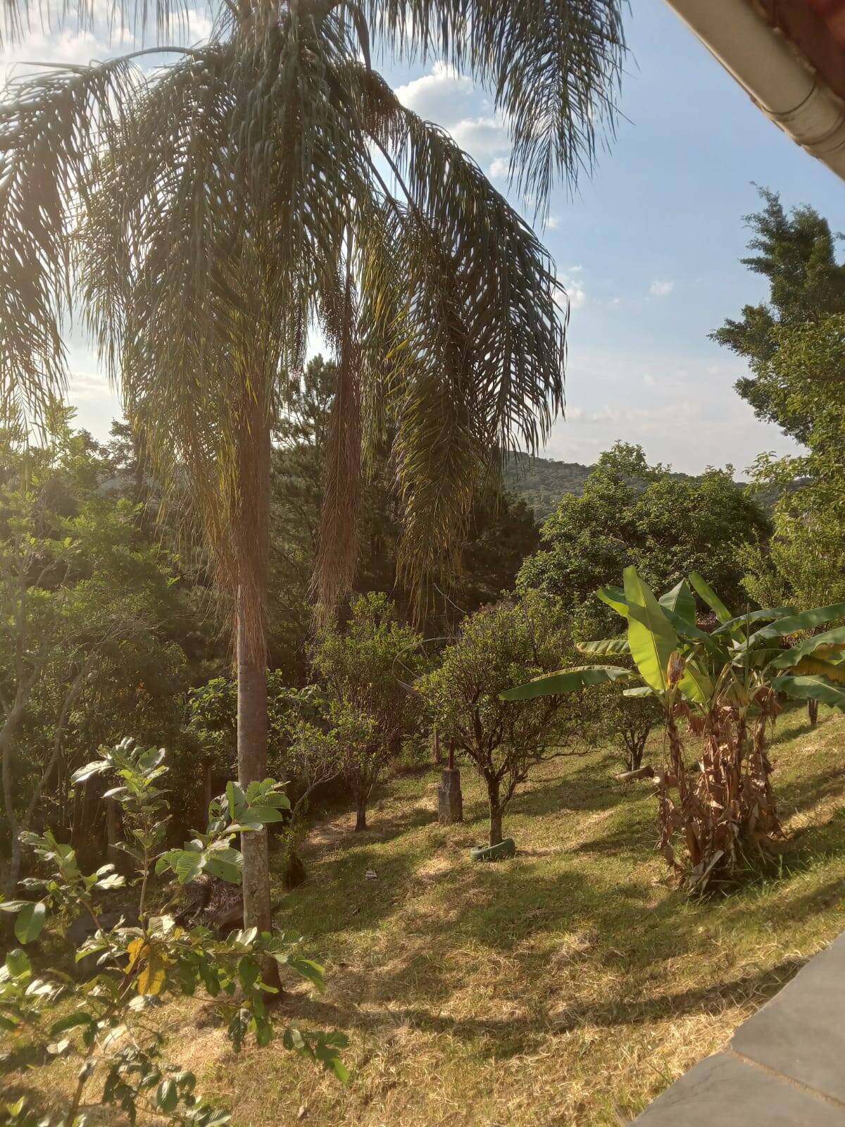 Chácara à venda com 3 quartos, 2300m² - Foto 22
