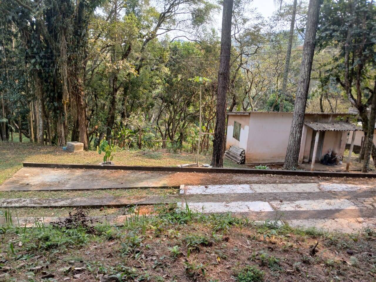 Chácara à venda com 3 quartos, 4000m² - Foto 2