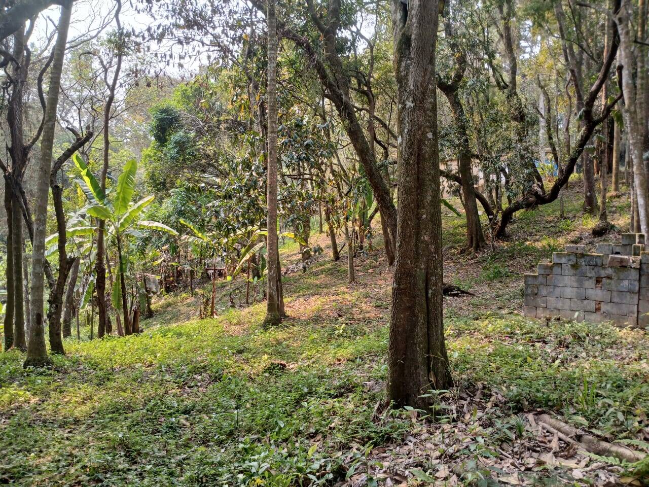 Chácara à venda com 3 quartos, 4000m² - Foto 19
