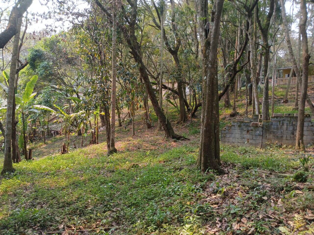 Chácara à venda com 3 quartos, 4000m² - Foto 21