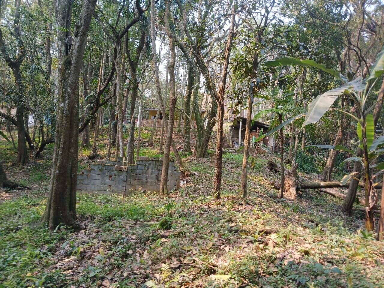Chácara à venda com 3 quartos, 4000m² - Foto 27