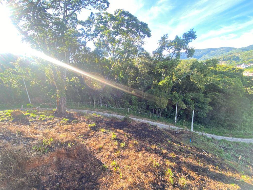 Chácara à venda com 3 quartos, 1000m² - Foto 14