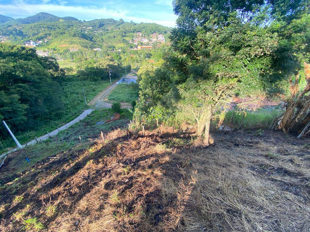 Chácara à venda com 3 quartos, 1000m² - Foto 15