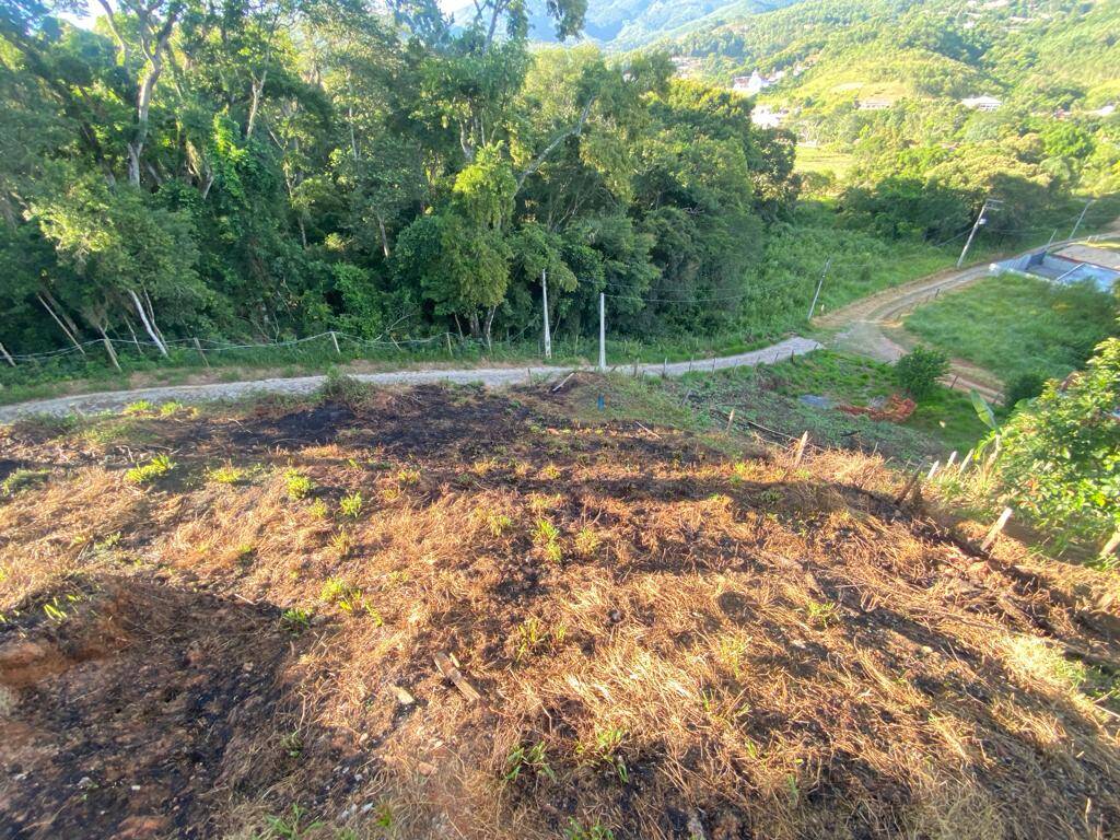 Chácara à venda com 3 quartos, 1000m² - Foto 16