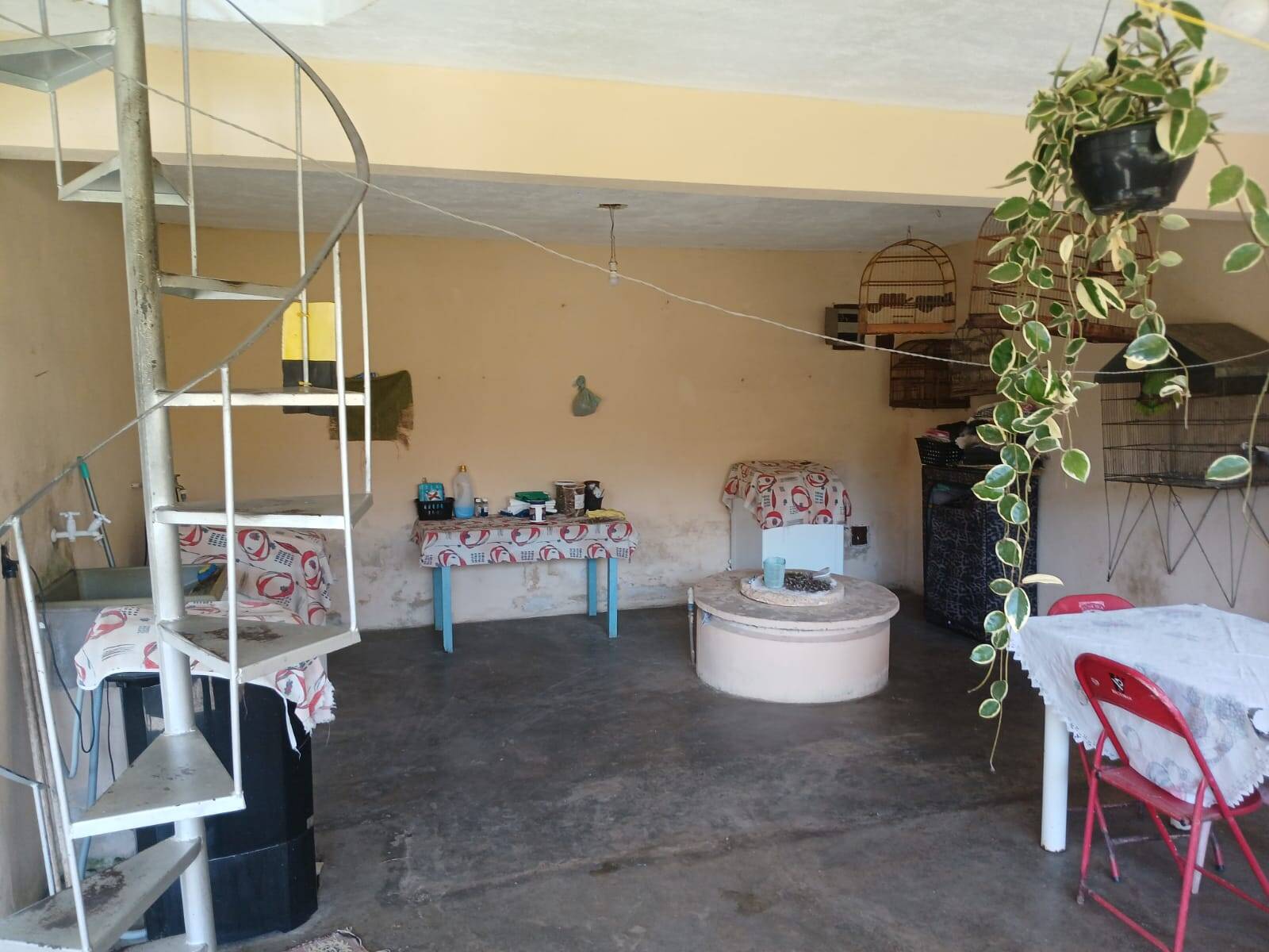 Chácara à venda com 4 quartos, 1500m² - Foto 25
