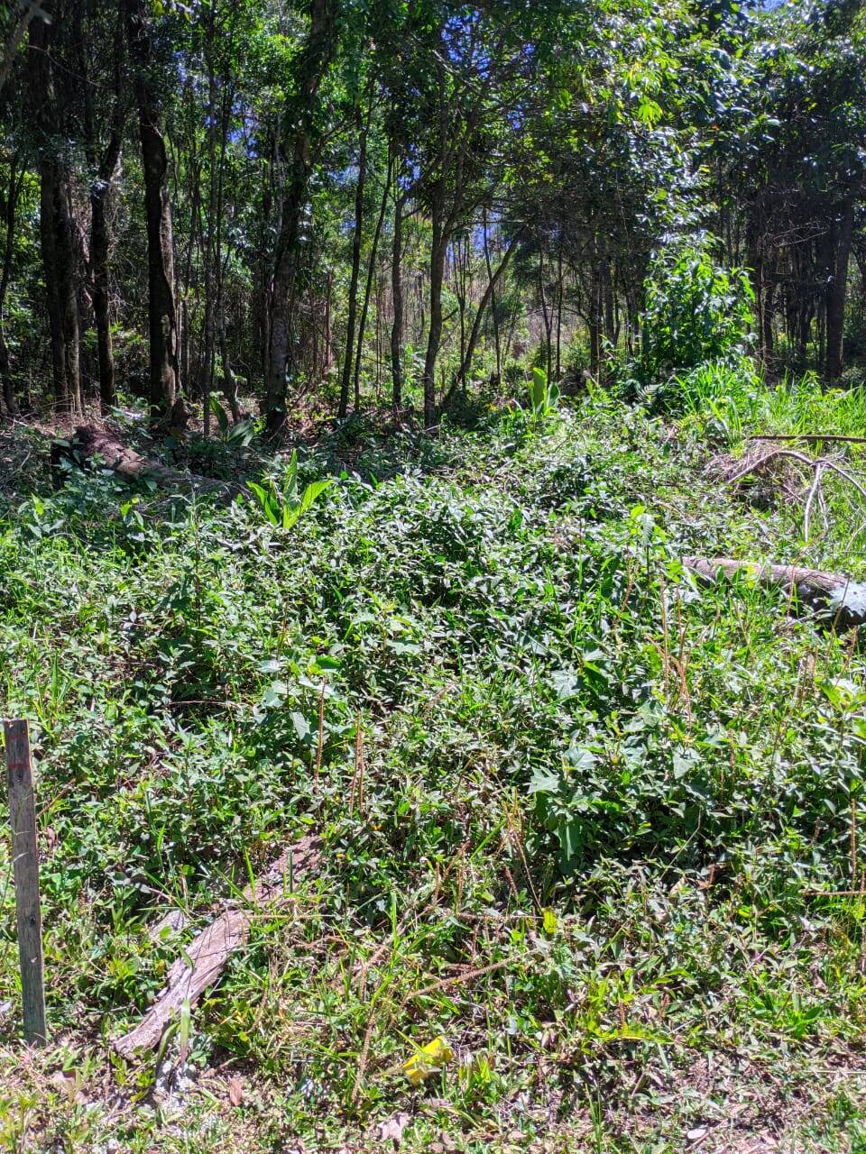 Terreno, 500 m² - Foto 2