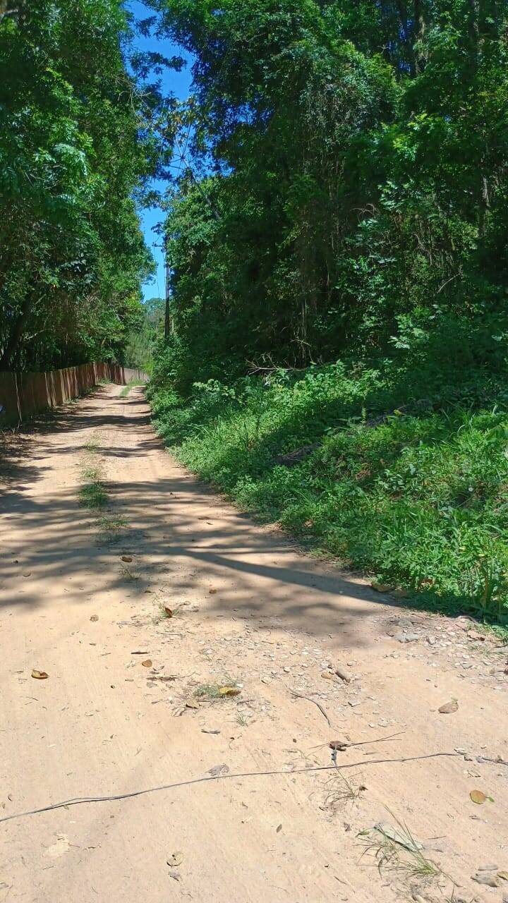 Terreno, 500 m² - Foto 6