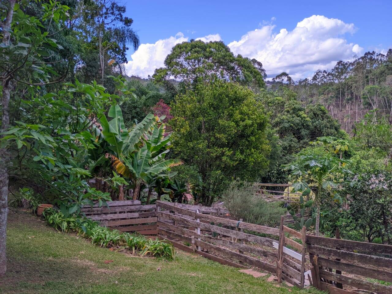 Casa, 2 quartos - Foto 28