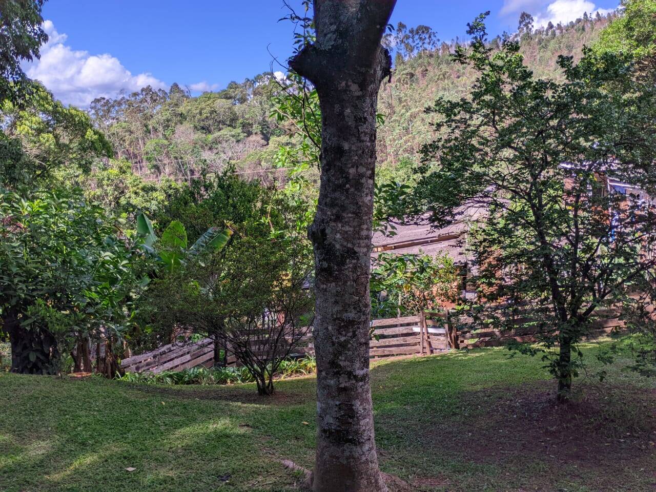 Casa, 2 quartos - Foto 32