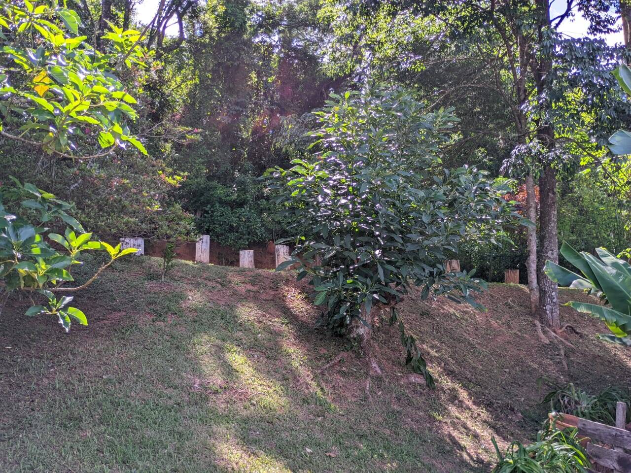 Casa, 2 quartos - Foto 36