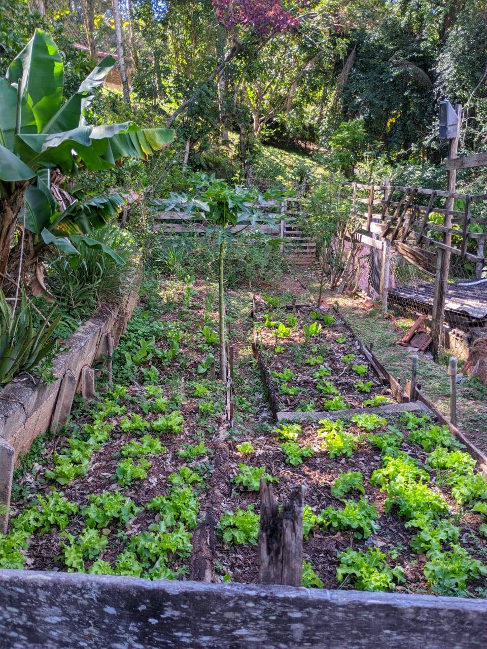 Casa, 2 quartos - Foto 39