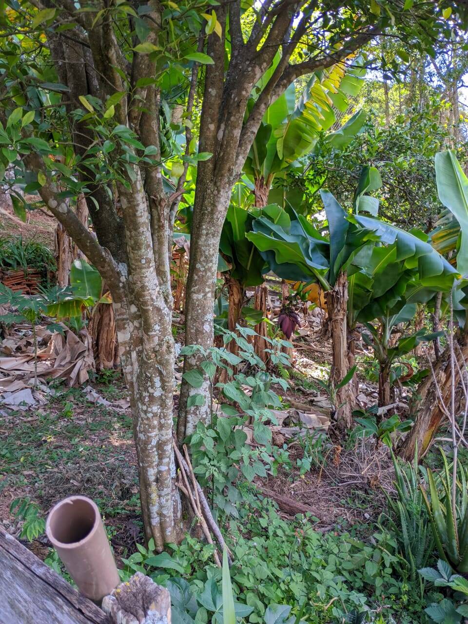 Casa, 2 quartos - Foto 38