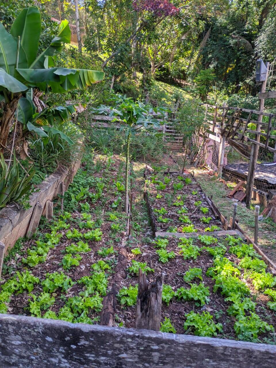 Casa, 2 quartos - Foto 40