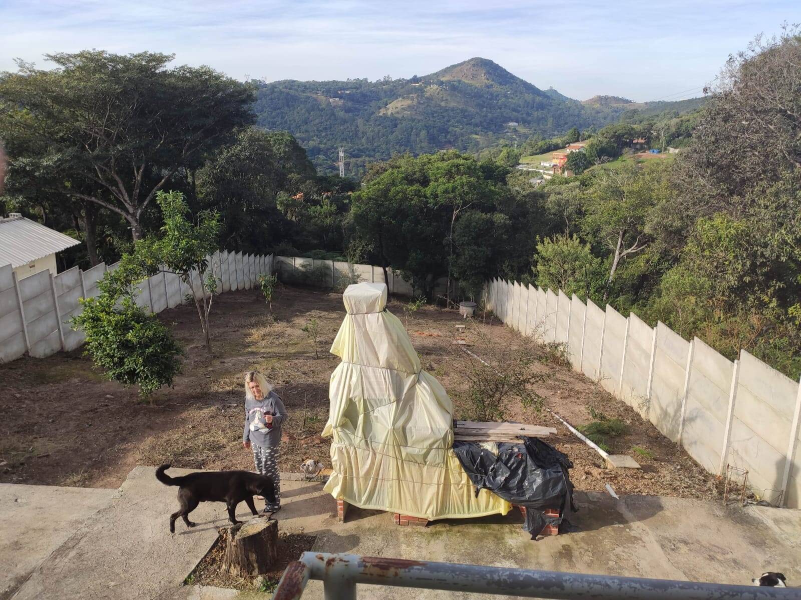 Chácara à venda com 4 quartos, 1200m² - Foto 7