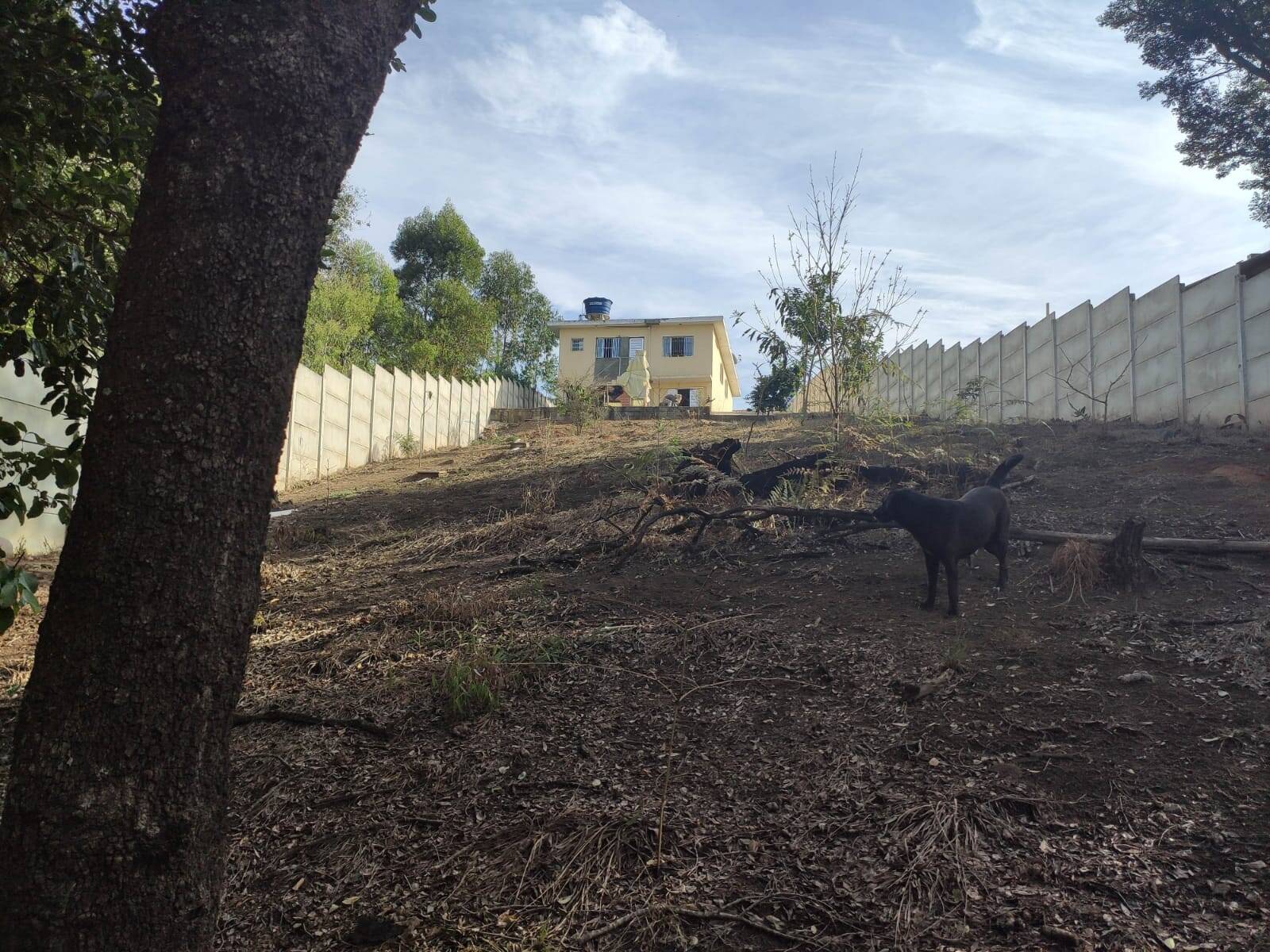 Chácara à venda com 4 quartos, 1200m² - Foto 37