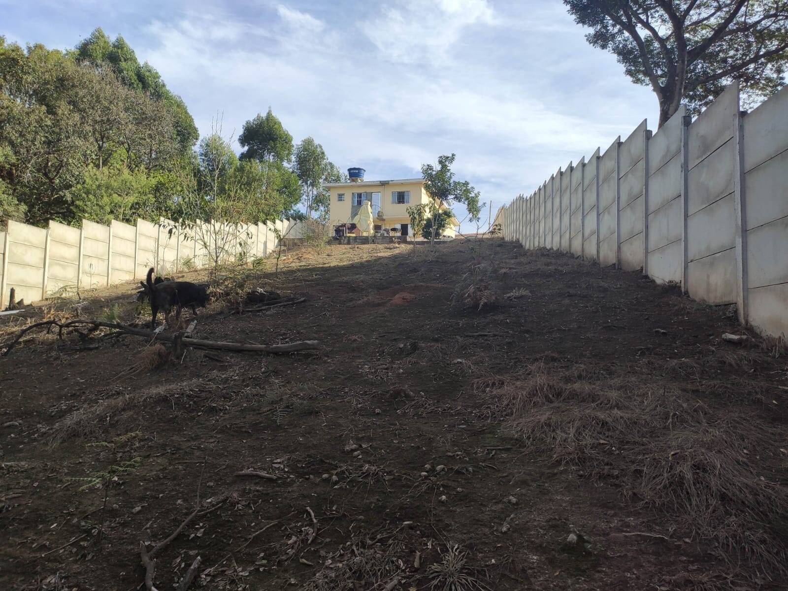 Chácara à venda com 4 quartos, 1200m² - Foto 38