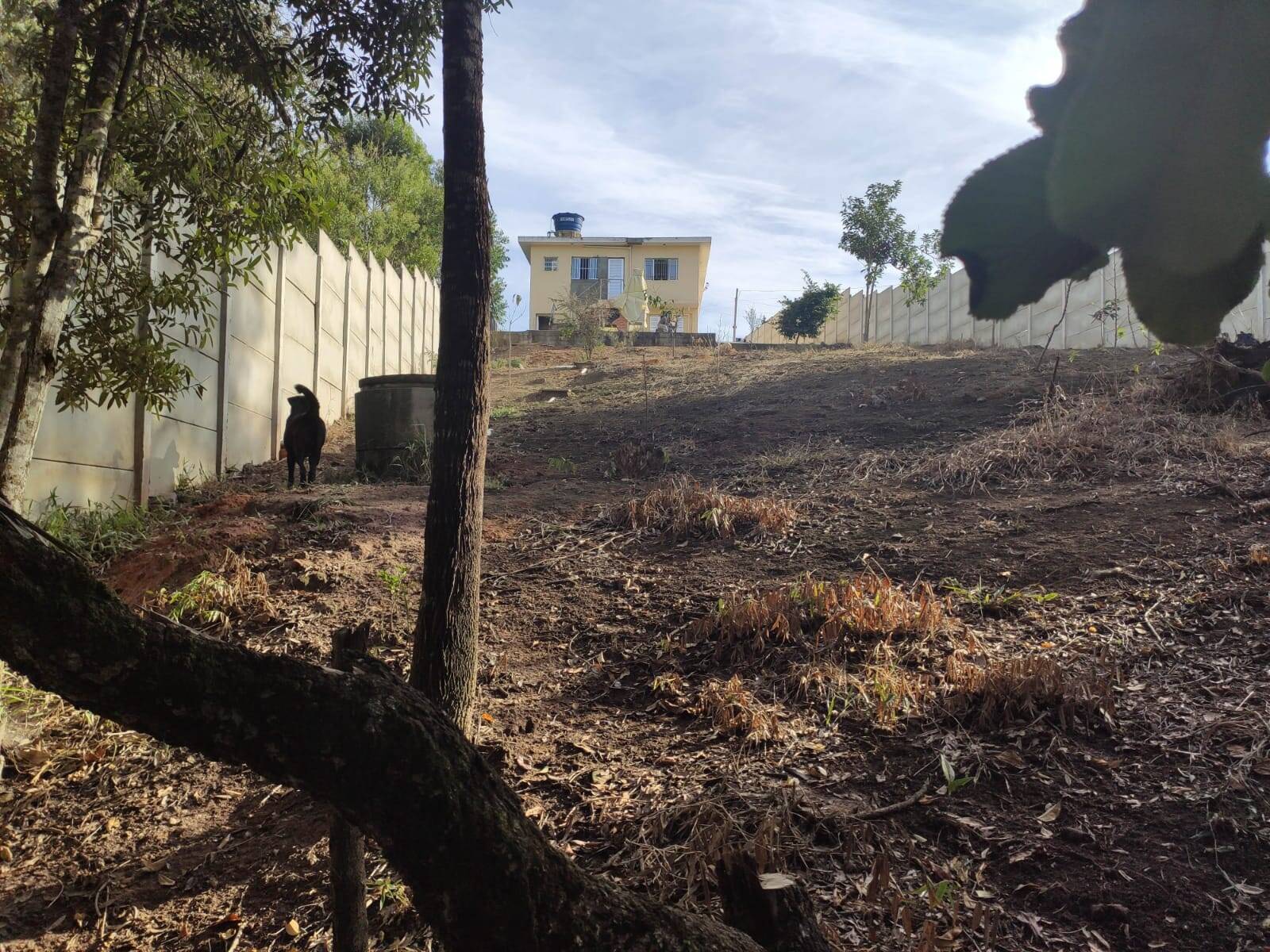Chácara à venda com 4 quartos, 1200m² - Foto 39