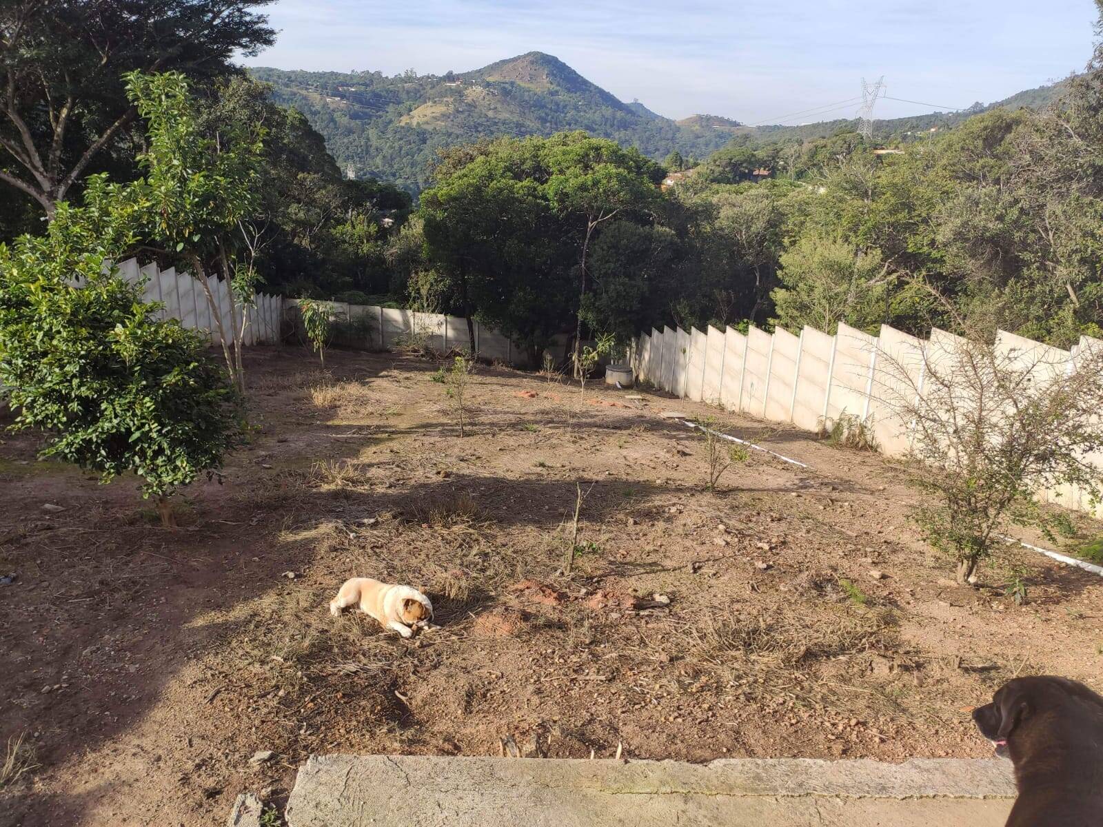 Chácara à venda com 4 quartos, 1200m² - Foto 45